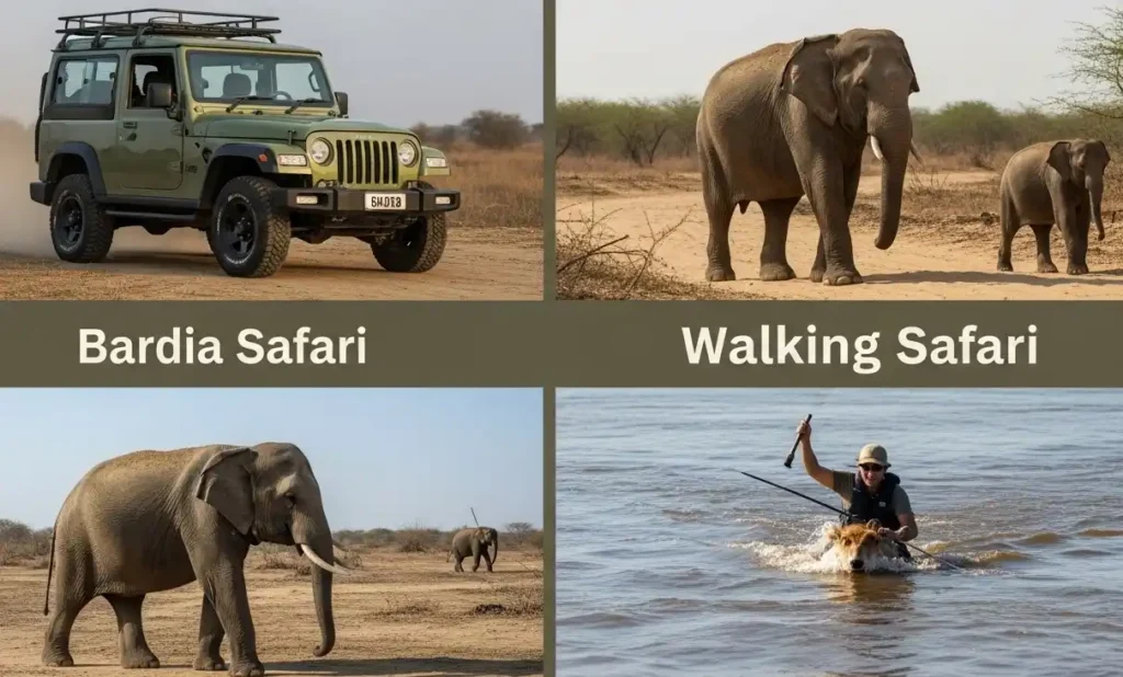 Safari types in Bardia National Park